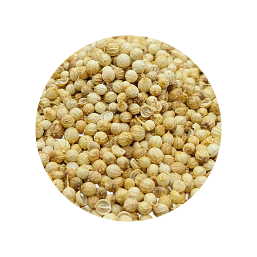 CORIANDRE GRAINE.png__PID:5e8b945c-4cad-484c-9ec1-6b2b2949928c